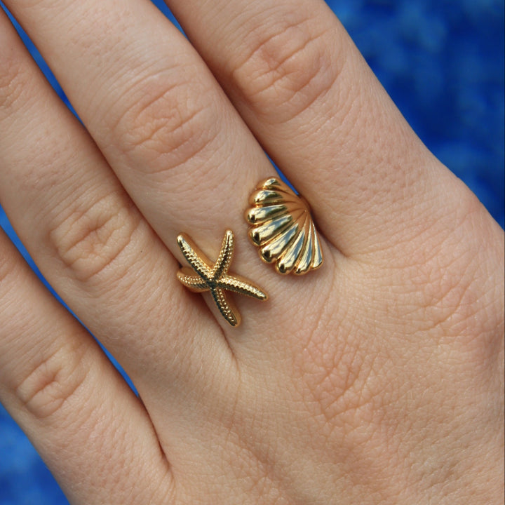 The Aerial Ring